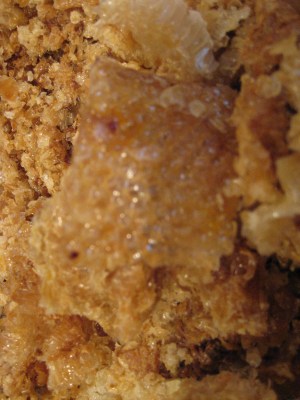 imported-photos-00108