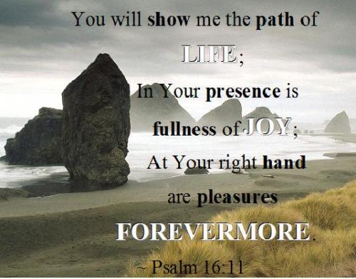 scripture-memory-verse-6