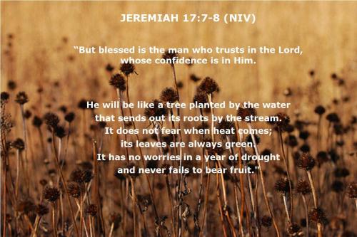 jer 17 7 jer 17 7